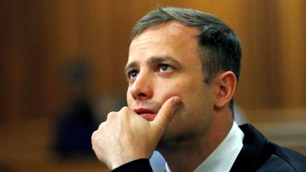 Permalink to Iadul lui Pistorius