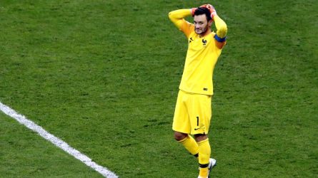 Permalink to Hugo și Lloris