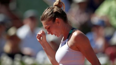 Permalink to Cazul Halep: elogiu muncii