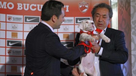 Permalink to Afaceri interne cu trecutul