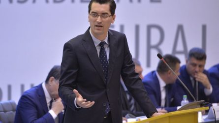 Permalink to Proiectul Chichirezul