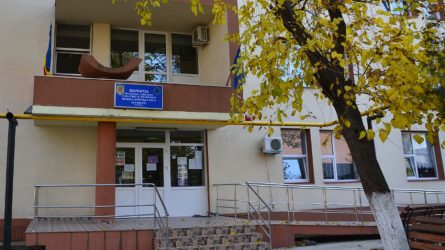 Permalink to NU ABUZ | De veghe în câmpul de fasole