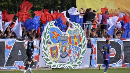 Permalink to Marca Steaua, bunul partidului