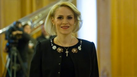 Permalink to Birocraţia de manea