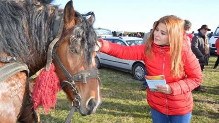 Permalink to Olimpiadele ministrului “Salar”