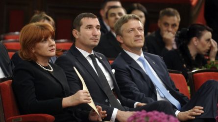 Permalink to Au pus şi „stejarii” pe butuci