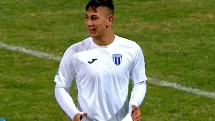 Permalink to Markovici, ligamentul și regulamentul