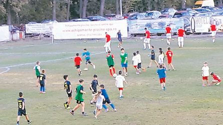 Permalink to Bătrâna Doamnă și copiii Snagovului