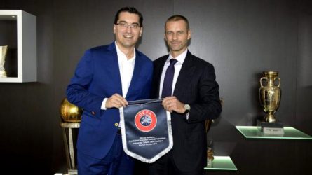 Permalink to 50.000 de copaci și-un șut în fund