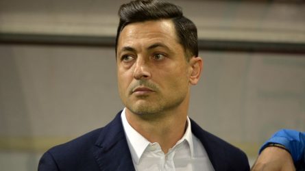 Permalink to Vorbele lui Mirel Rădoi