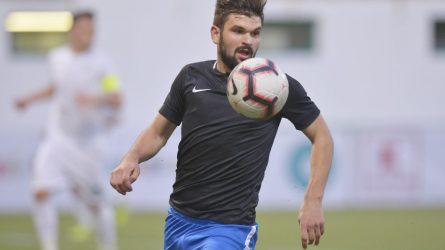 Permalink to Pariorul Voduț și haitele de lupi moraliști