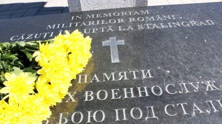 Permalink to Armata uitată