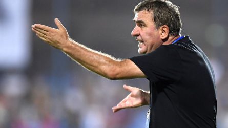 Permalink to De ce, Gică?! Întreabă-ți vicepreședintele!