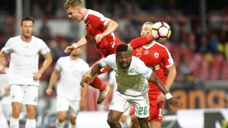 Permalink to Cutremur cu Negoiţă. Magnitudine 0-1