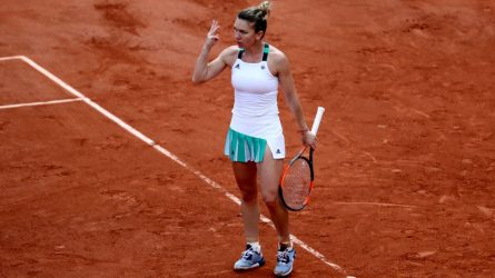 Permalink to O lecţie. De tenis, de viaţă