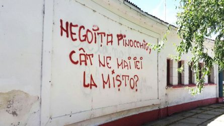 Permalink to Şi Pinocchio avea ruptură de ligamente?