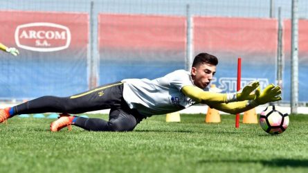 Permalink to Donnarumma de la Craiova