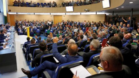 Permalink to Literatură şi acţiune pentru FRF