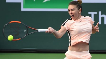 Permalink to Ce și-ar fi dorit Oracolul de la Indian Wells