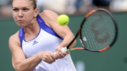 Permalink to Simona  și Fed Cup