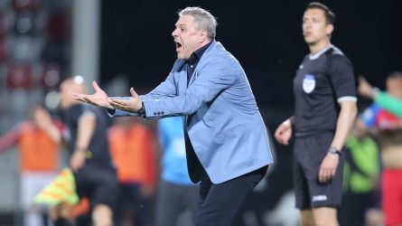 Permalink to Pedepsirea lui Șumudică