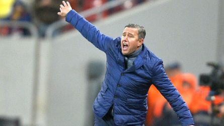 Permalink to Vânzoleala roș-albastră