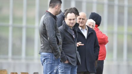 Permalink to Toată vina pe Negoiță?!