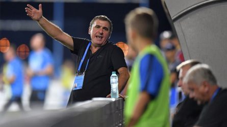 Permalink to Dezmințirea lui Hagi