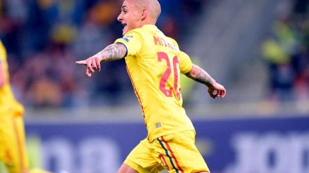 Permalink to Mitrigol