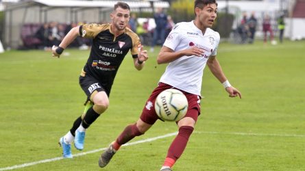 Permalink to Fuga de răspundere