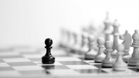 Permalink to Campionii şi pionii