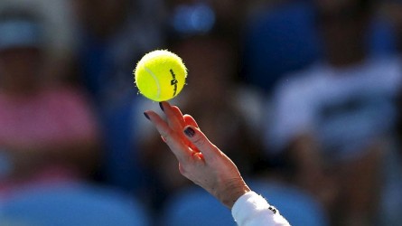 Permalink to Handbalul englez va renta