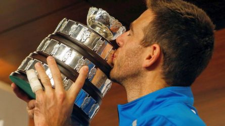 Permalink to Gentle Giant del Potro